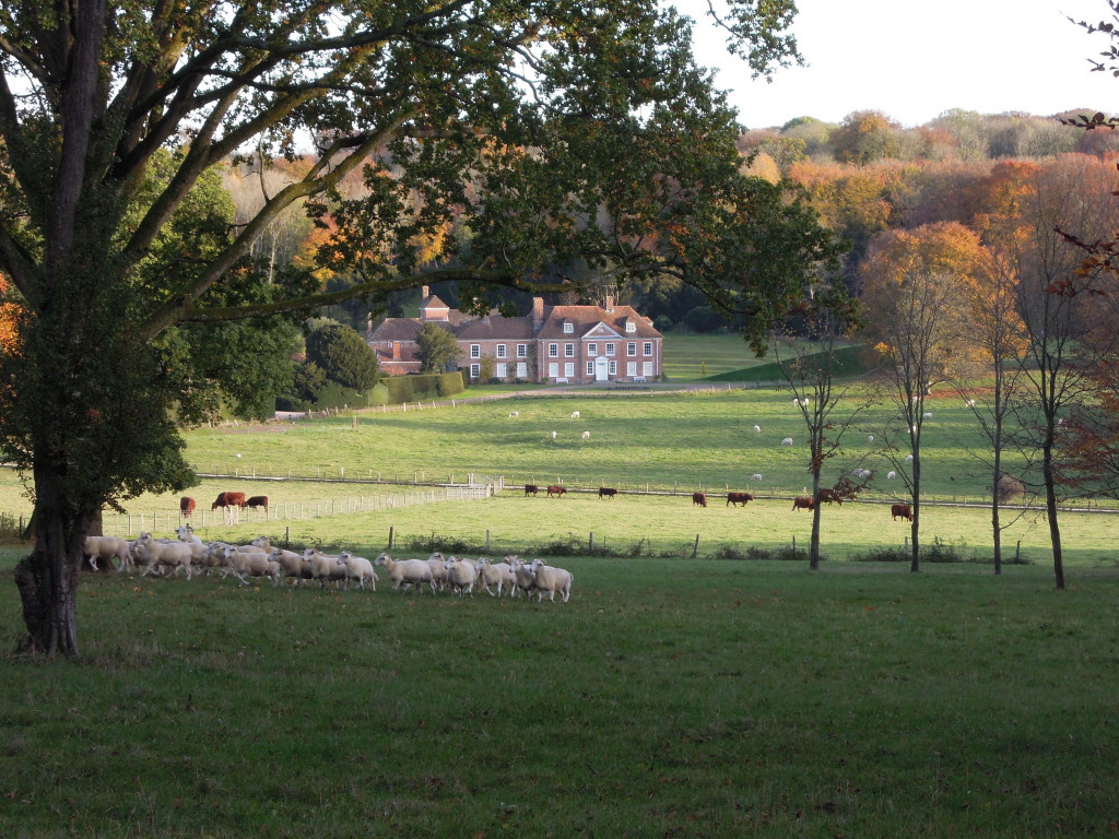 The Holt Estate Home